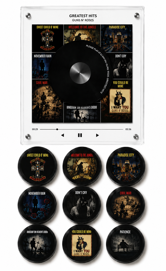 Guns n Roses Magnetic Vinyl
